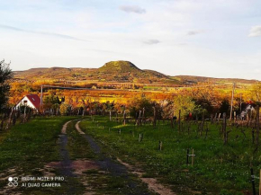 Ágnes almái Ágnes apples